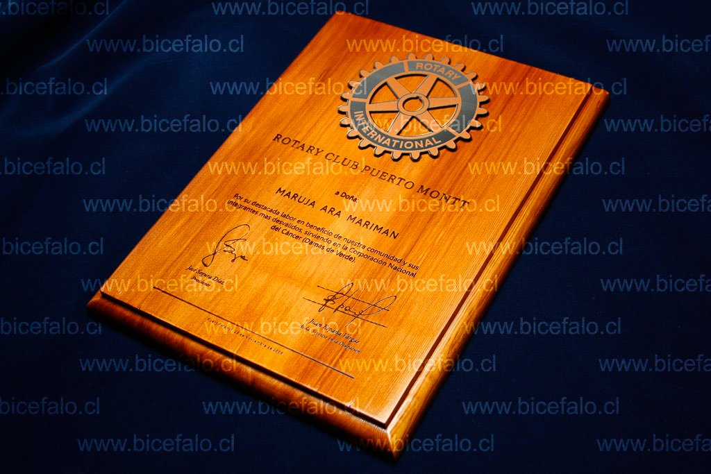 Galvano Madera Alerce pulido